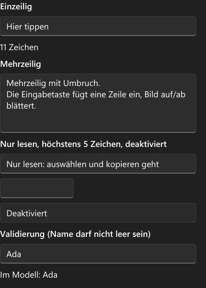 Vorführung: TextBox