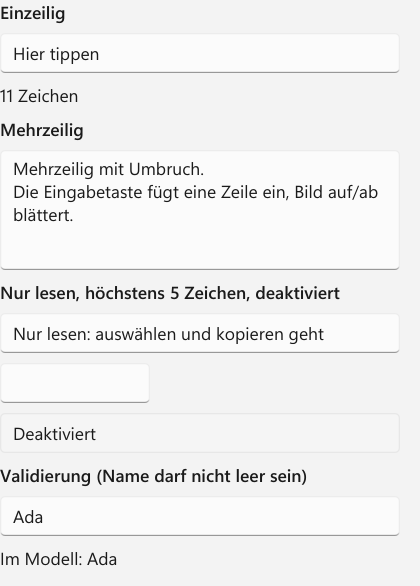 Vorführung: TextBox